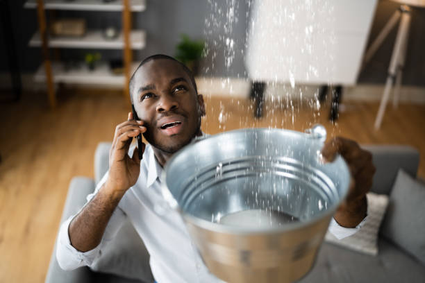 Best Water damage restoration near me  in Rialto, CA