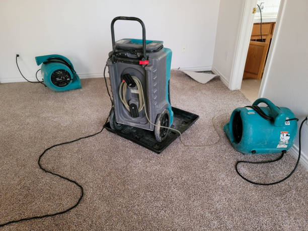 24/7 water damage repair in Rialto, CA