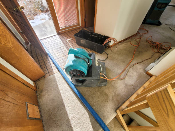  Rialto, CA Water damage restoration Pros