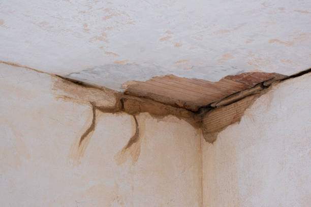 Professional Water damage restoration in Rialto, CA