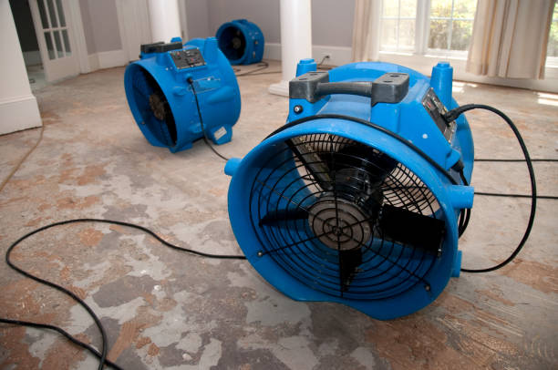 Best Carpet water damage restoration  in Rialto, CA