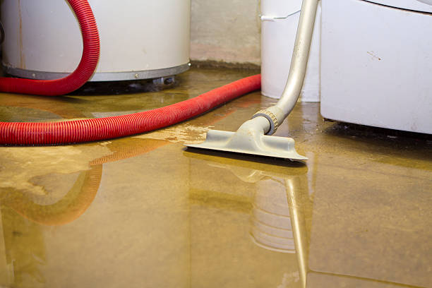 Best Commercial water damage restoration  in Rialto, CA