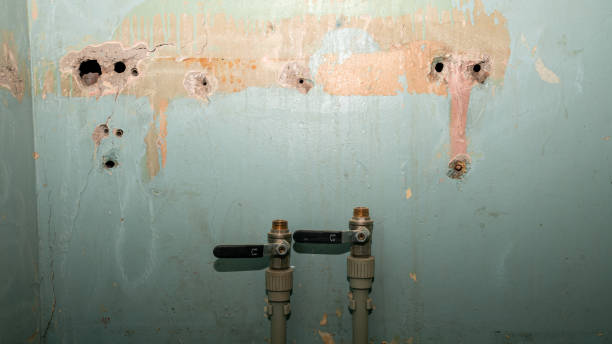 Best Residential water damage restoration  in Rialto, CA