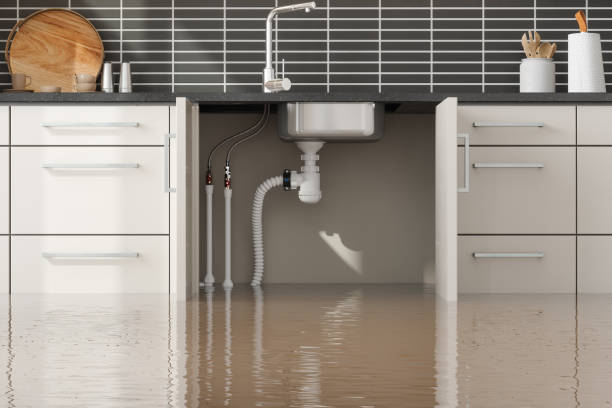 Best Water damage repair service  in Rialto, CA