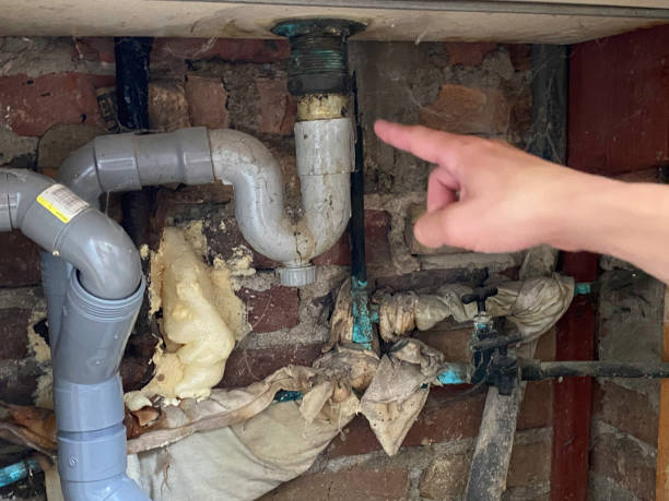 Best Flooded house restoration  in Rialto, CA