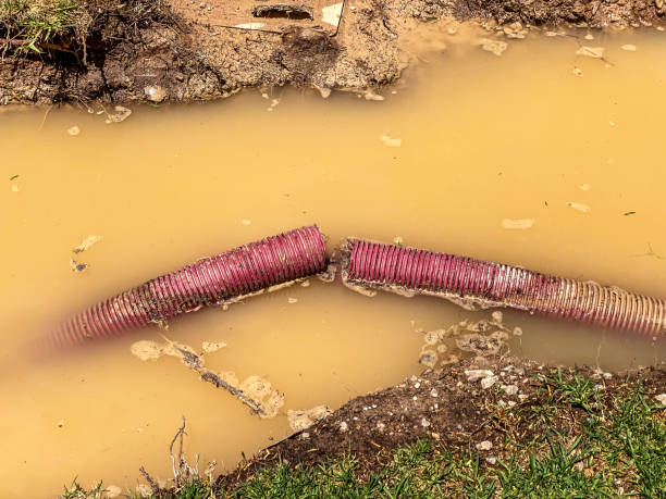 Reliable Rialto, CA Water damage restoration Solutions