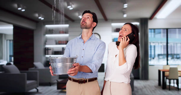 Best Basement water damage restoration  in Rialto, CA