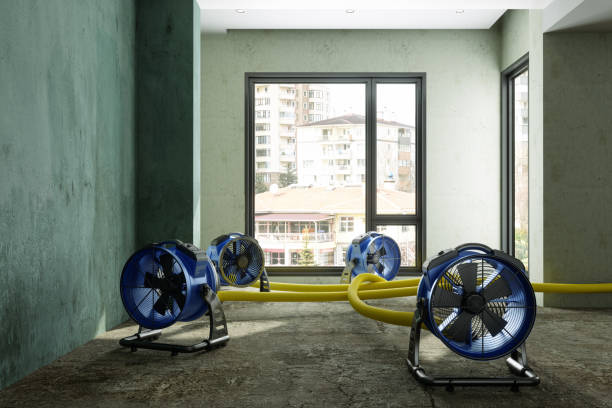 Water damage restoration mold remediation in Rialto, CA