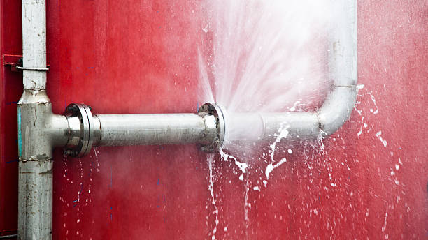 Best Local water damage restoration  in Rialto, CA